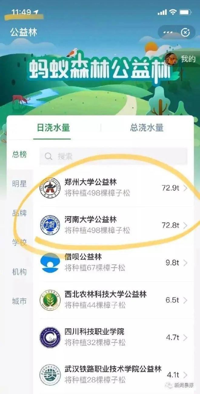 、“中国锦鲤之父”疑似离职阿里创业凯发首页登录“80万蓝V总教头”(图21)