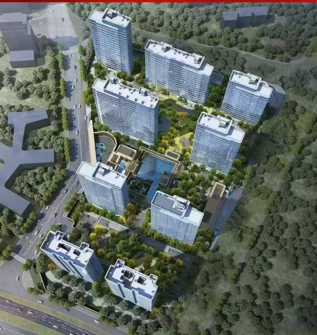 0项目电话号码-价格凯发通告 伟星T1(图2)